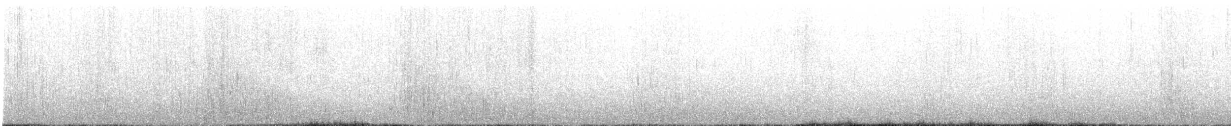Râle gris - ML641685905