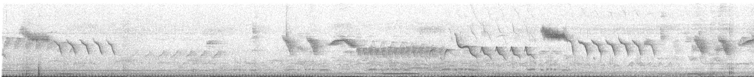 Tocuyo Sparrow - ML641686150