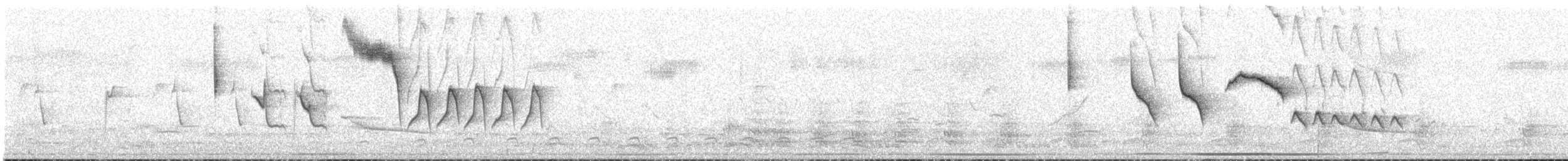 Tocuyo Sparrow - ML641686151