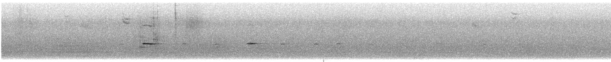 Gadwall - ML641686307