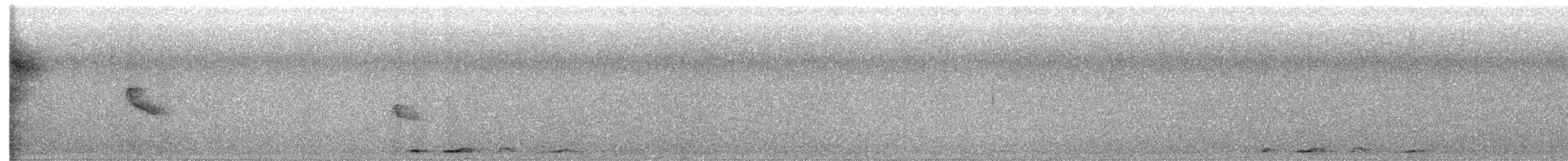 Bar-shouldered Dove - ML641686674