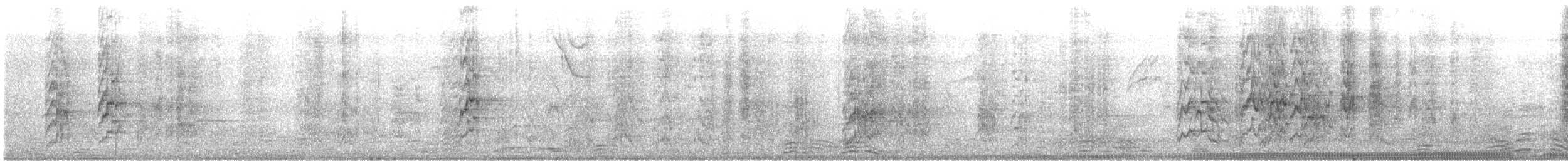 oransjepanneparakitt - ML641686740