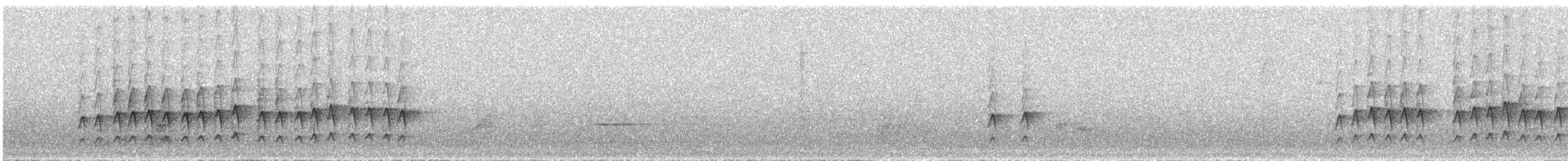 hvitsmykkehonningeter - ML64168681