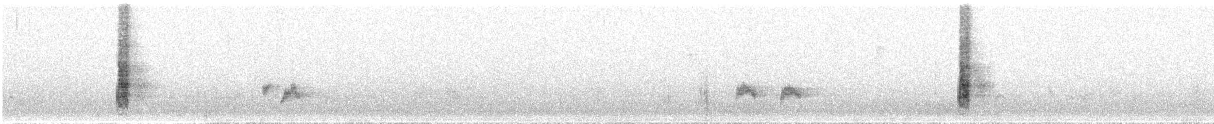Медолюб-сережник східний - ML64168731