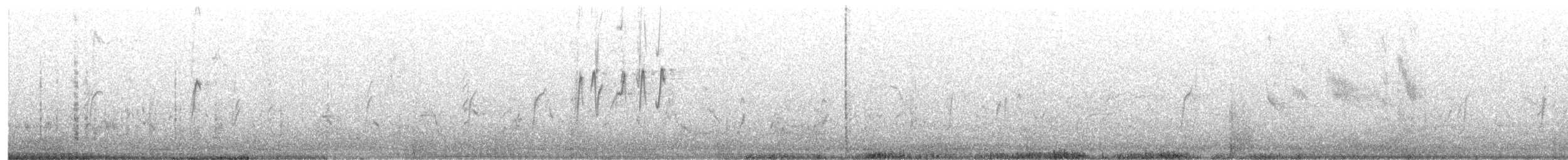 Pin-tailed Whydah - ML641688472
