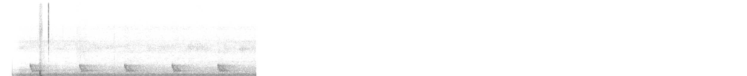 nightjar sp. - ML641688592