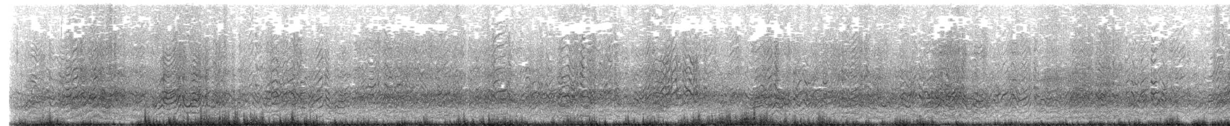 Rußseeschwalbe - ML641689627