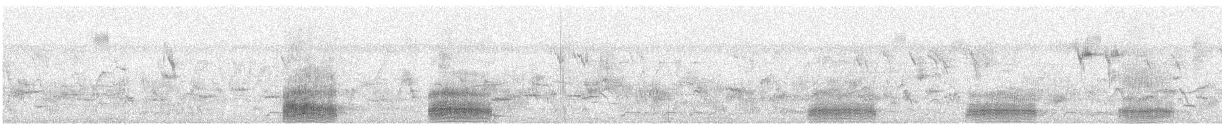 Little Egret (Western) - ML641691871