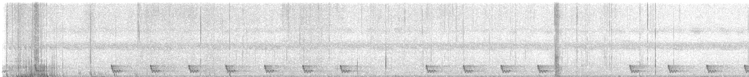 Large-tailed Nightjar - ML641692302