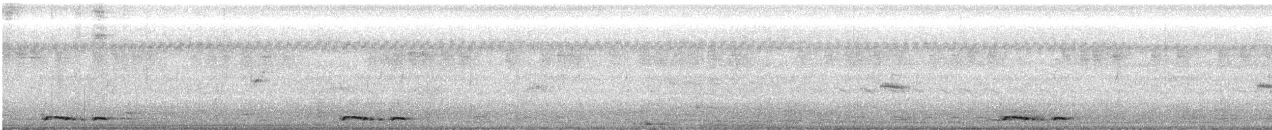 Zebra Dove - ML641692472