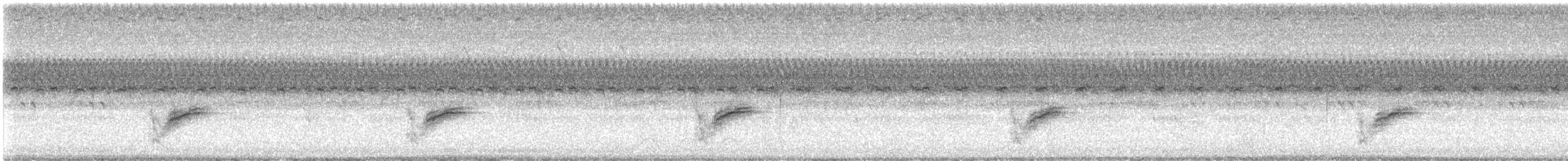 Eastern Towhee - ML641692695