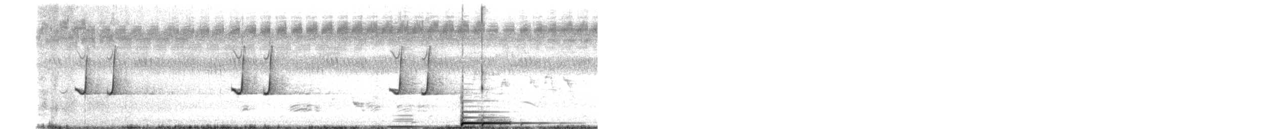 Codorniz Coromandélica - ML641692890