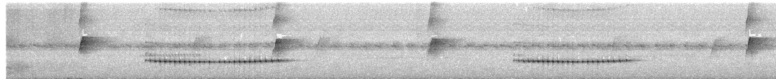Tétéma colma - ML641697044