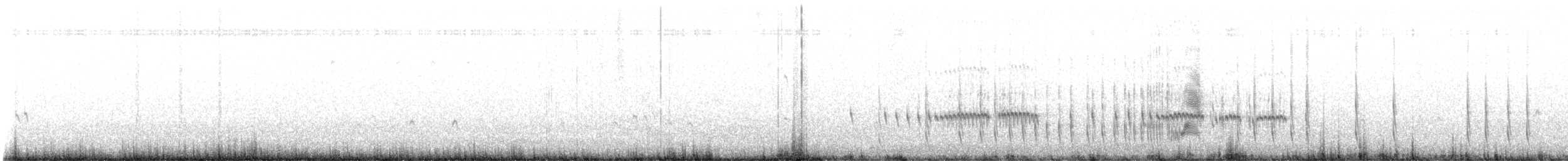 Pluvier du Tibet - ML641697181