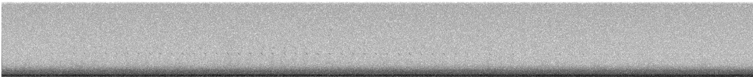 Качка sp. - ML641697529