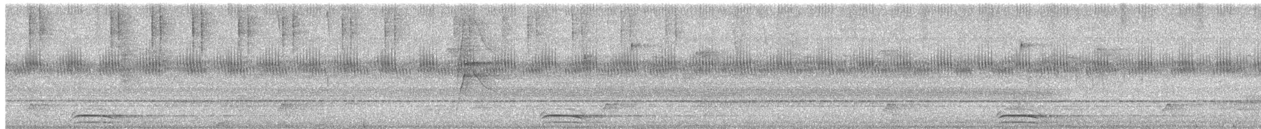 Collared Forest-Falcon - ML641698019