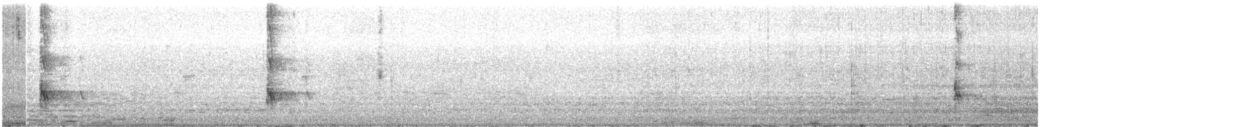 Syrian Woodpecker - ML641698886