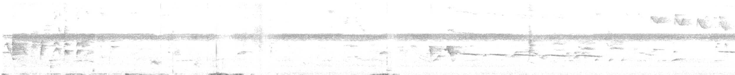 Southern Beardless-Tyrannulet - ML641699814