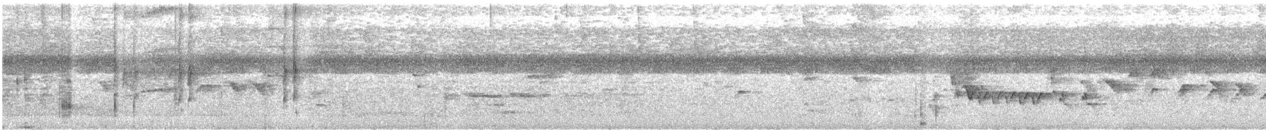 Black-striped Sparrow - ML641701055