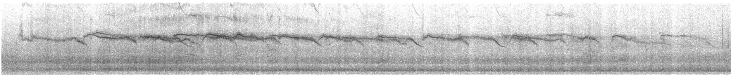 kanariseiler - ML641701501