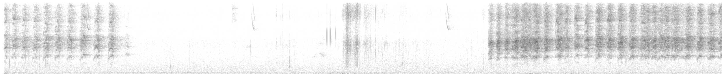 grønnkinnparakitt - ML641701899