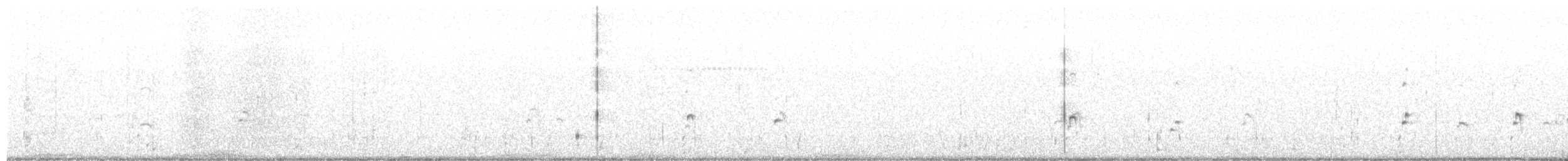 American Avocet - ML641701990