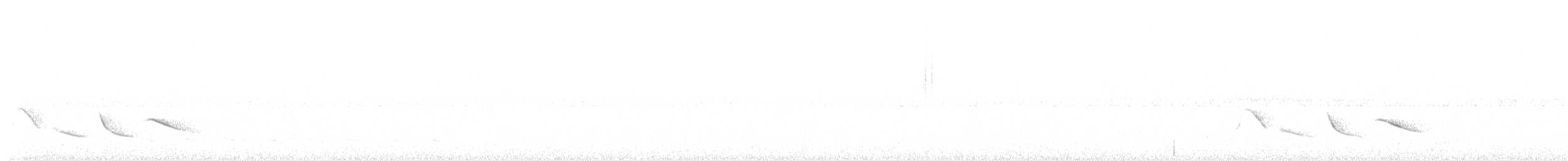Green-winged Saltator - ML641702167