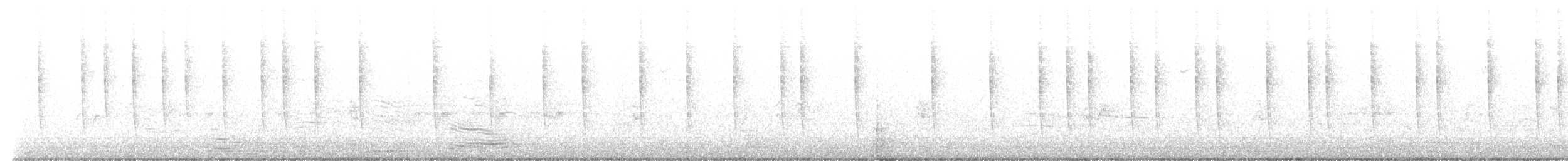 Rufous Hummingbird - ML641703682