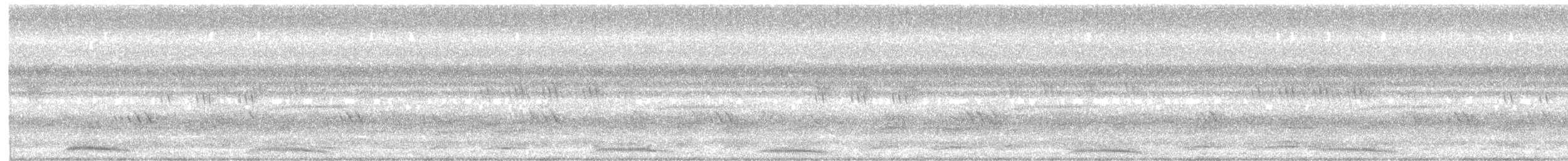Ninoxe des Andaman - ML641703803
