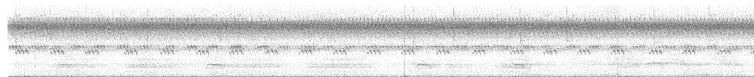 Red-headed Woodpecker - ML641704006