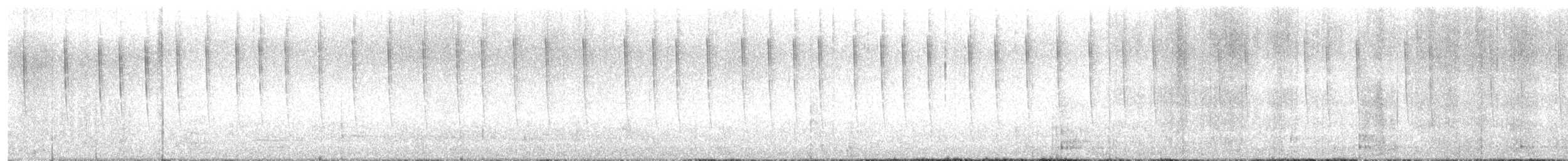 Rufous Hummingbird - ML641704349
