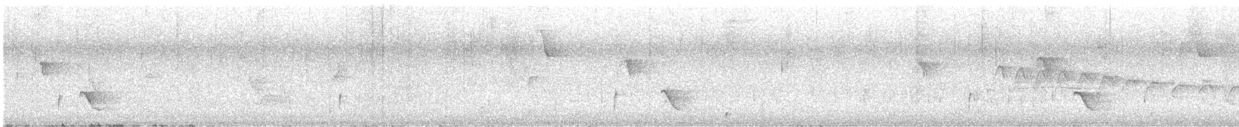 Buff-breasted Wren - ML641704721