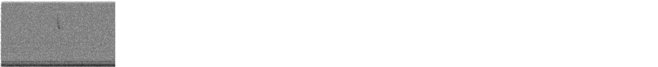 new world sparrow sp. - ML641708241