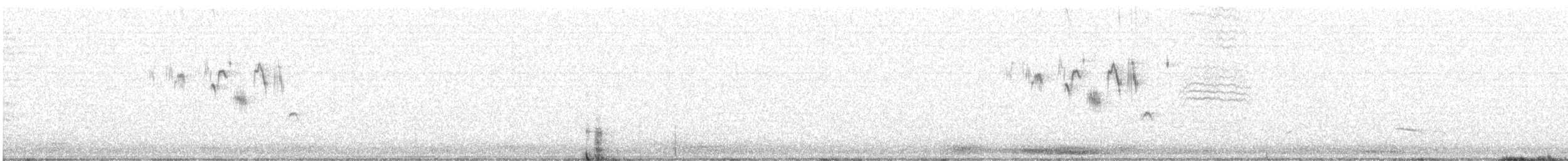 Pipit de Hellmayr - ML641711412