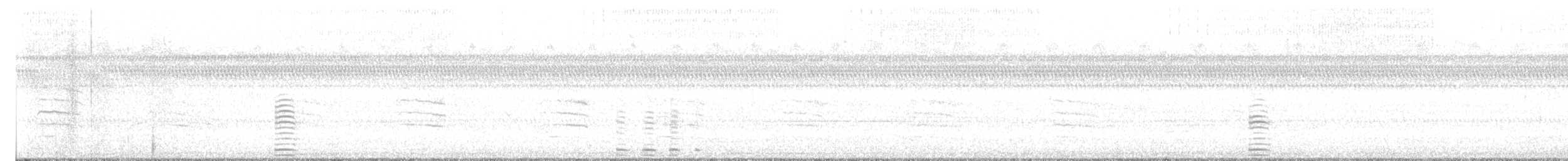 Trumpeter Swan - ML641712328