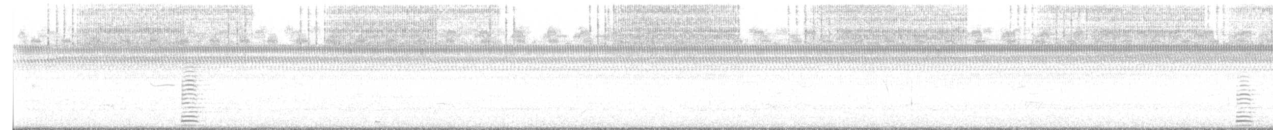 Trumpeter Swan - ML641712329