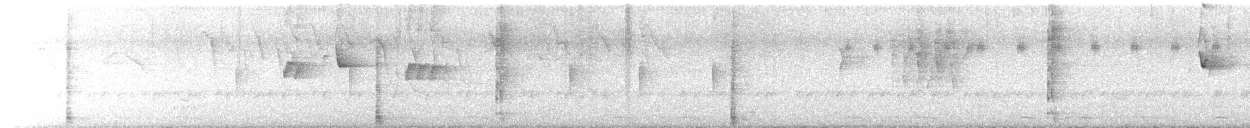 hummingbird sp. - ML641713632