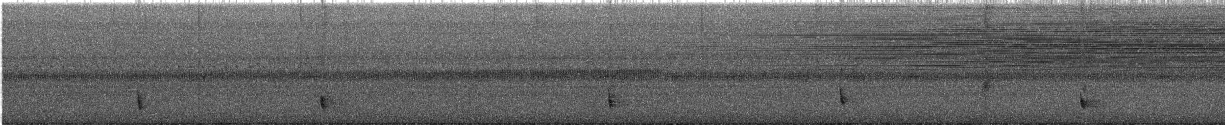 Hermit Thrush - ML641715267