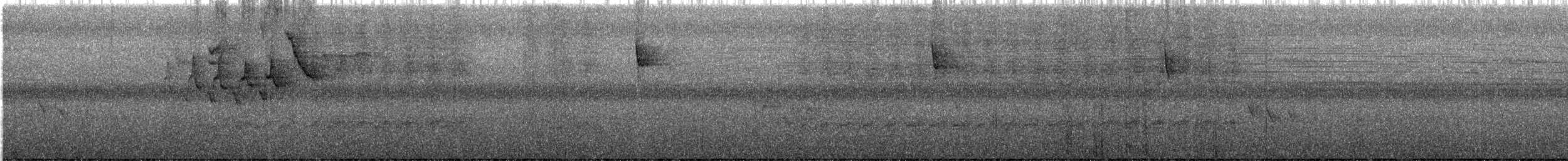 American Redstart - ML641716531