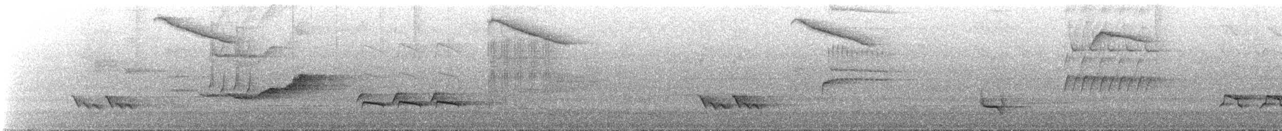 White-throated Thrush - ML641721922