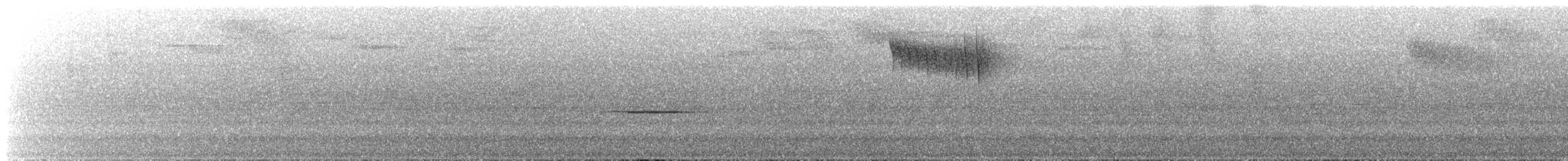 hummingbird sp. - ML641721992