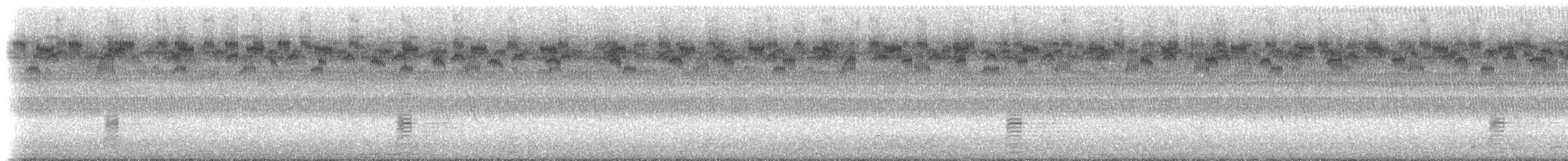 Alzavola americana - ML641723021