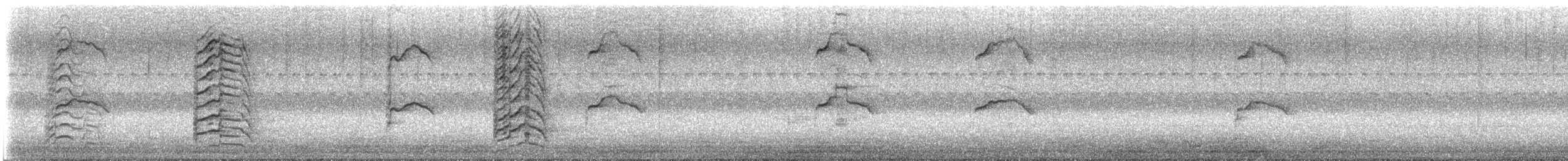 lattermåke - ML641723289