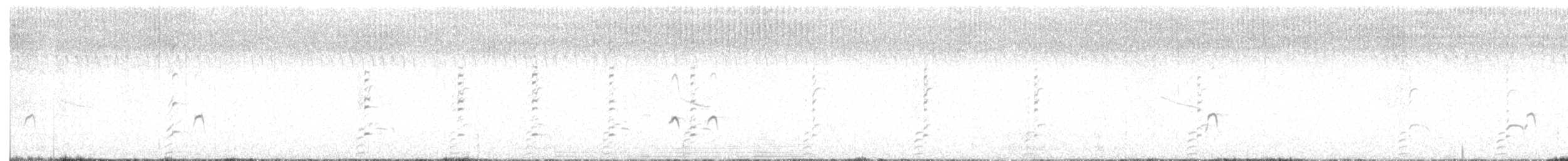 American Avocet - ML641724333