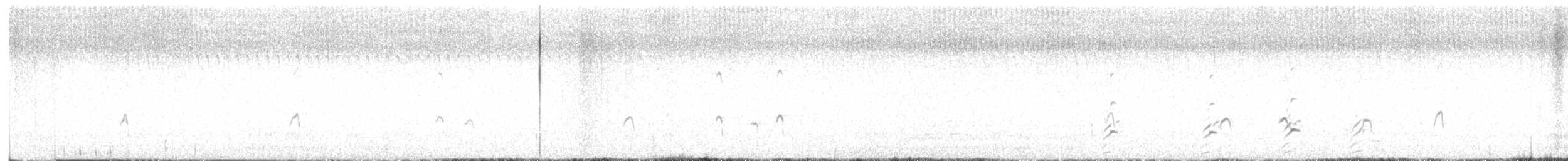 American Avocet - ML641724343