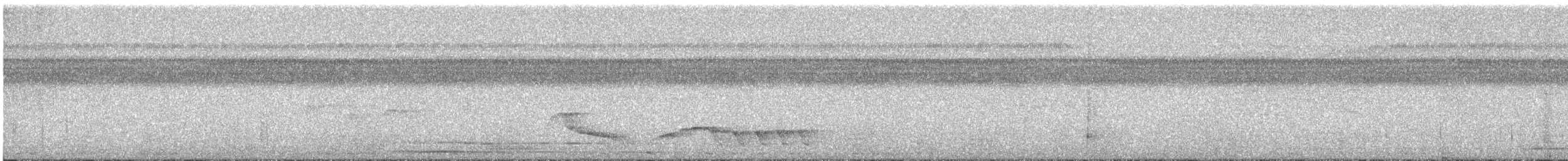 Coraya Wren - ML641725217