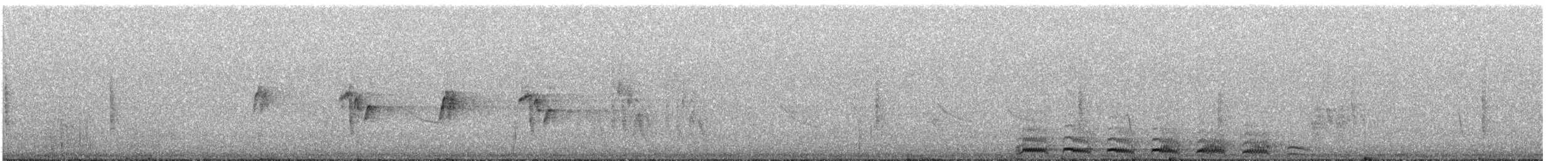 hvitstrupetapakulo - ML641726238