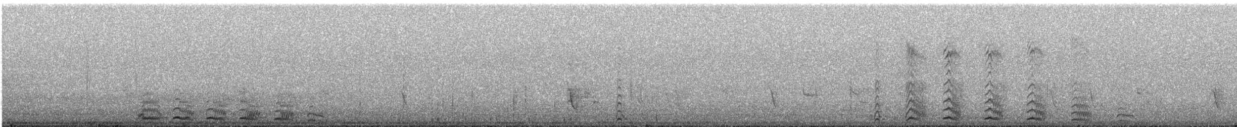 hvitstrupetapakulo - ML641726306