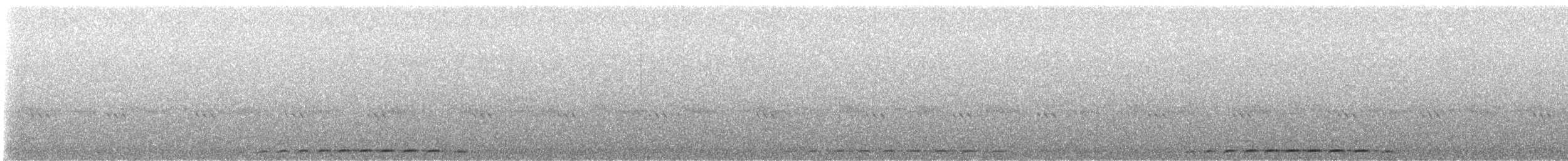 Whiskered Screech-Owl - ML641726477