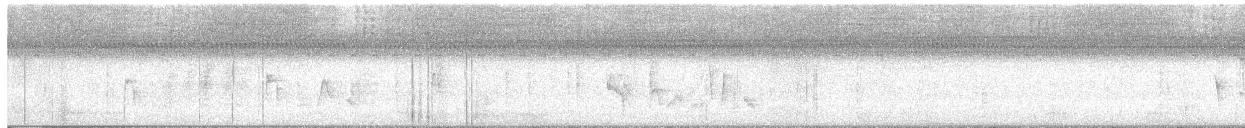 White-eyed Vireo - ML641726737